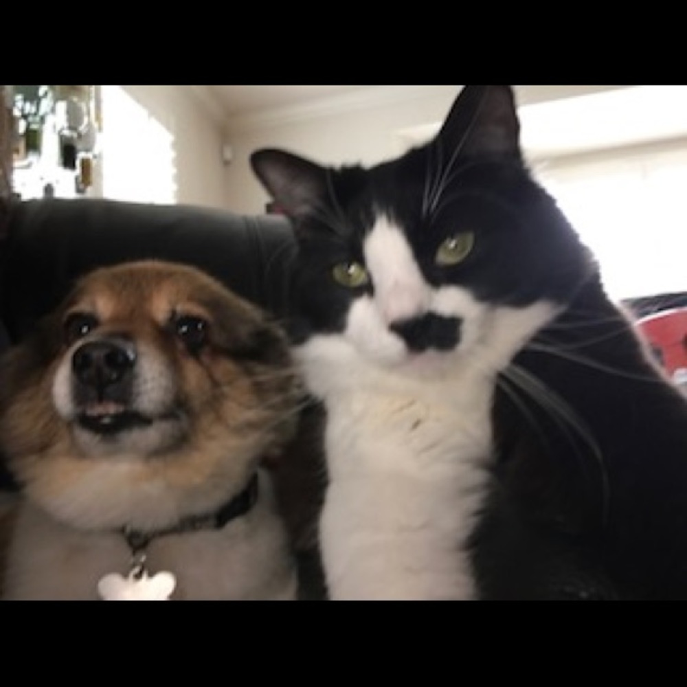 Meet your Posher, Peggy